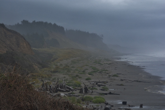 the beach in fog